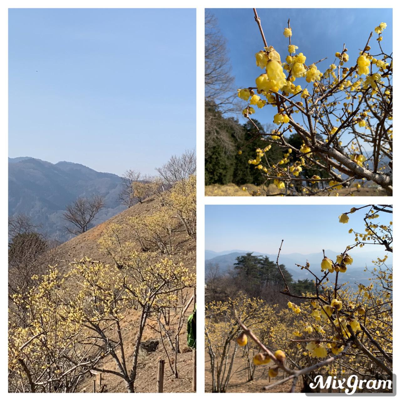 宝登山⛰