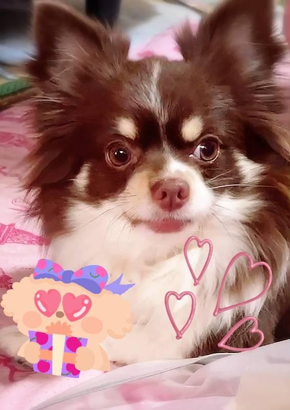 New Face🐶