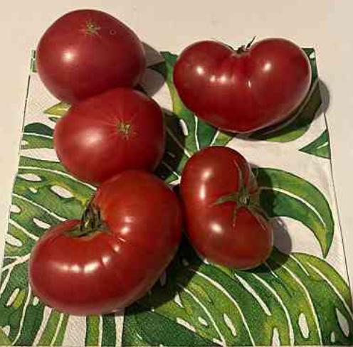 🍅トマト🍅
