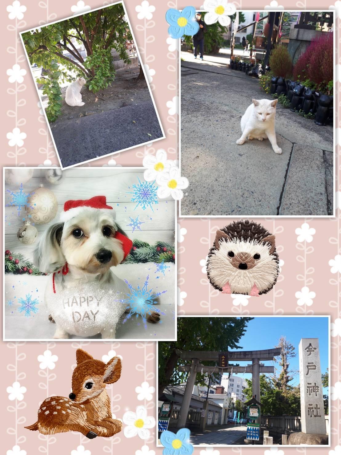 ある休日🍀*.