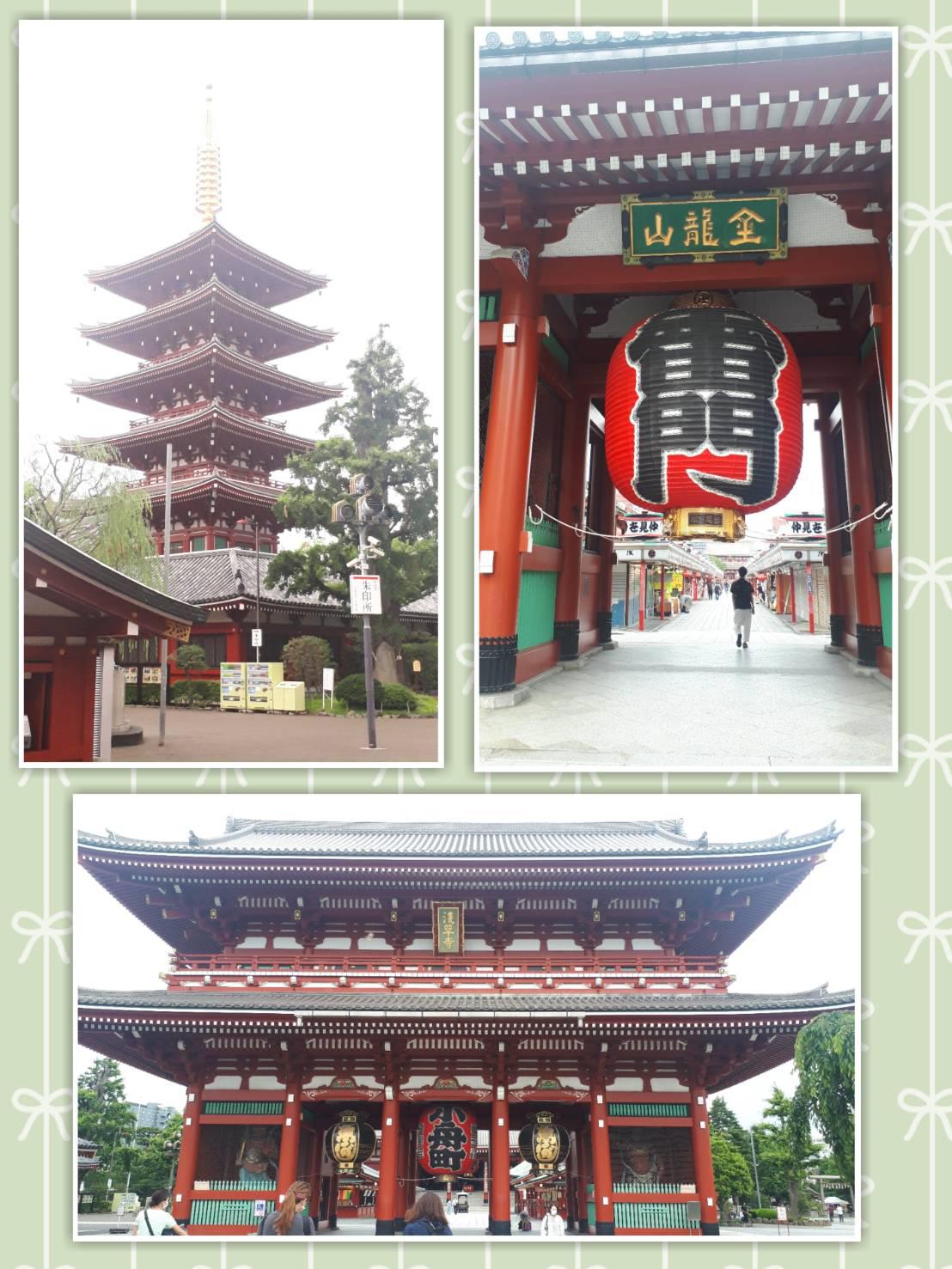 🍃良い風🍃